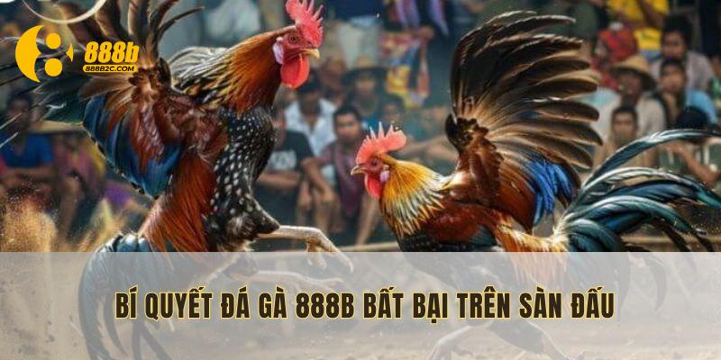 Mách bạn những bí kíp đá gà để luôn chiến thắng tại 888B com app