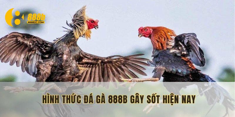 Tổng quan về sảnh đá gà 888B với nhiều ưu điểm vượt trội