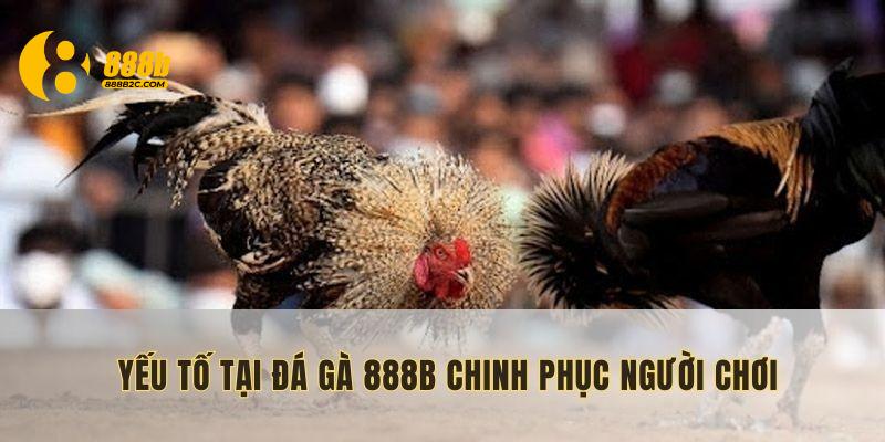 Những lý do khiến sảnh đá gà 888B trở nên lôi cuốn, thu hút người chơi